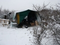 img_04312 img_04312